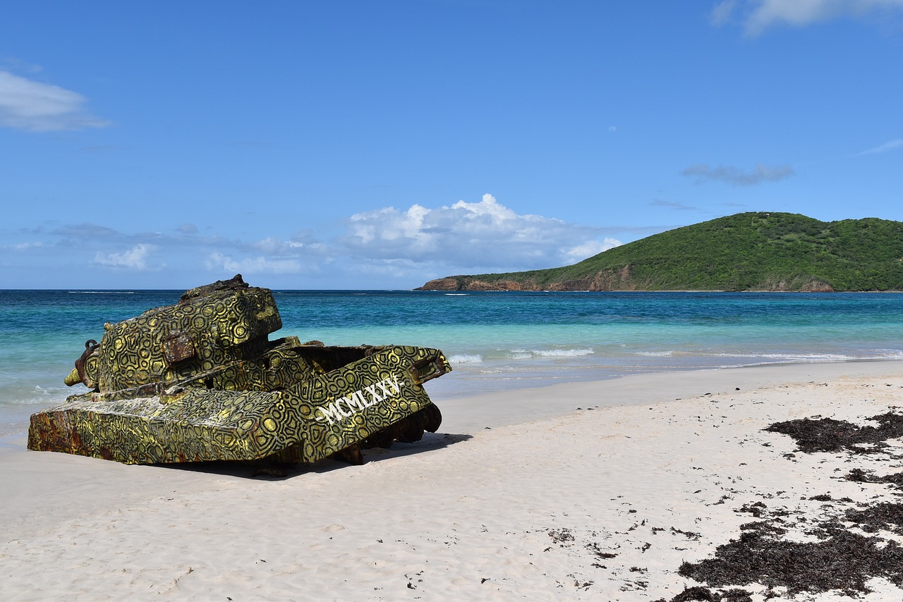 Culebra Island Delights and Bioluminescent Magic